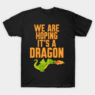 We are hoping it's a dragon T-Shirt